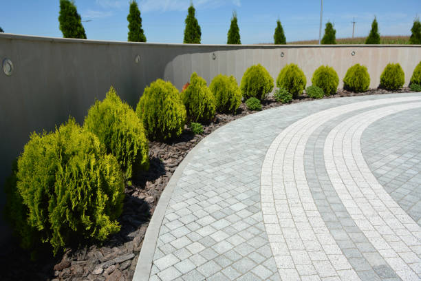 Reasons to Select Us for Your Driveway Paving Requirements in Mcgehee, AR
